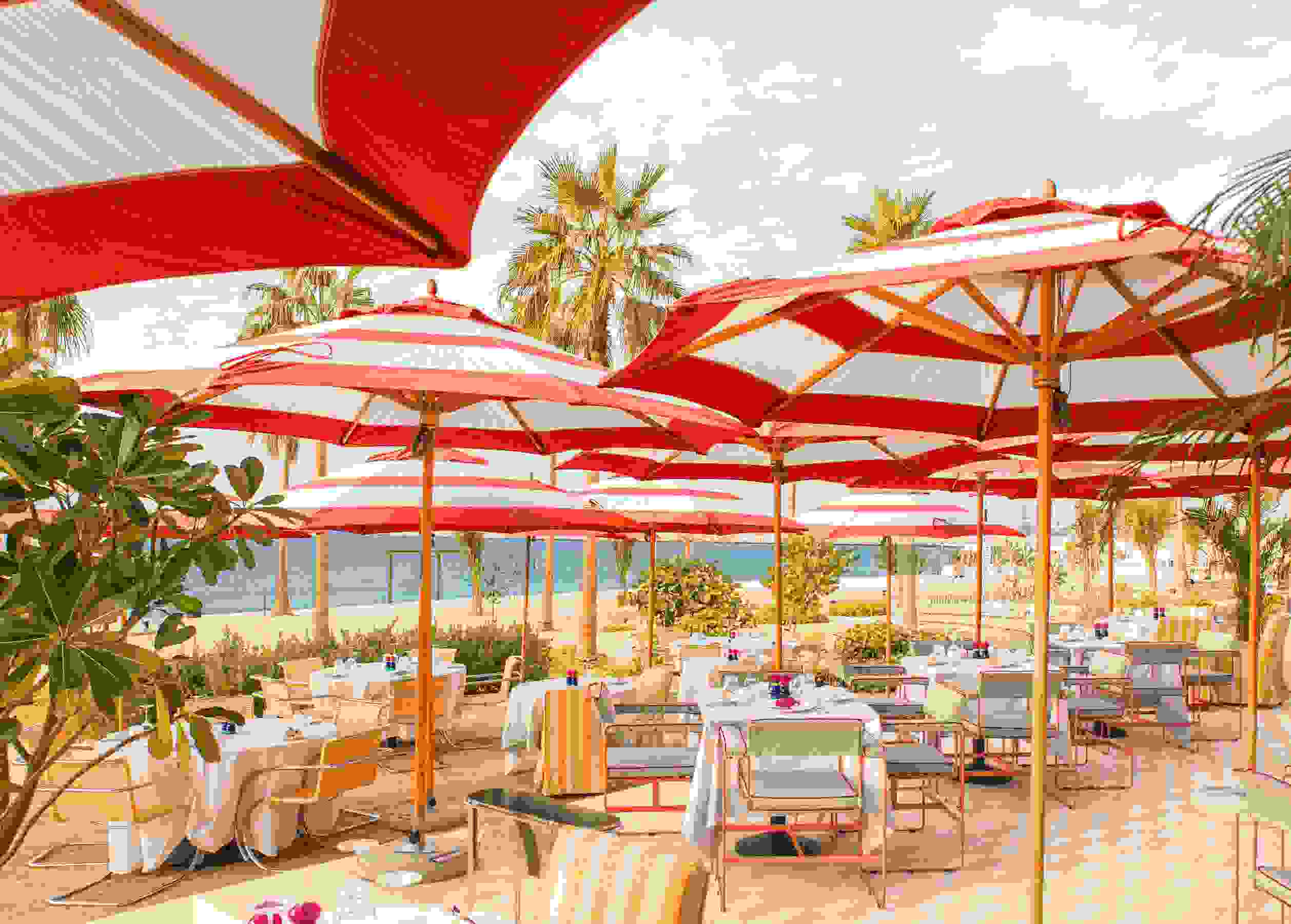 65 of the best spots for outdoor dining in Dubai this winter-image