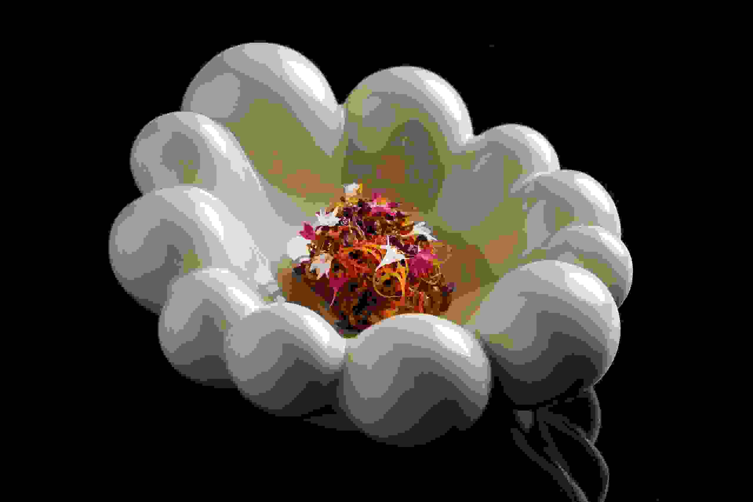 4 restaurants in Dubai where it’s Veganuary all year round-image