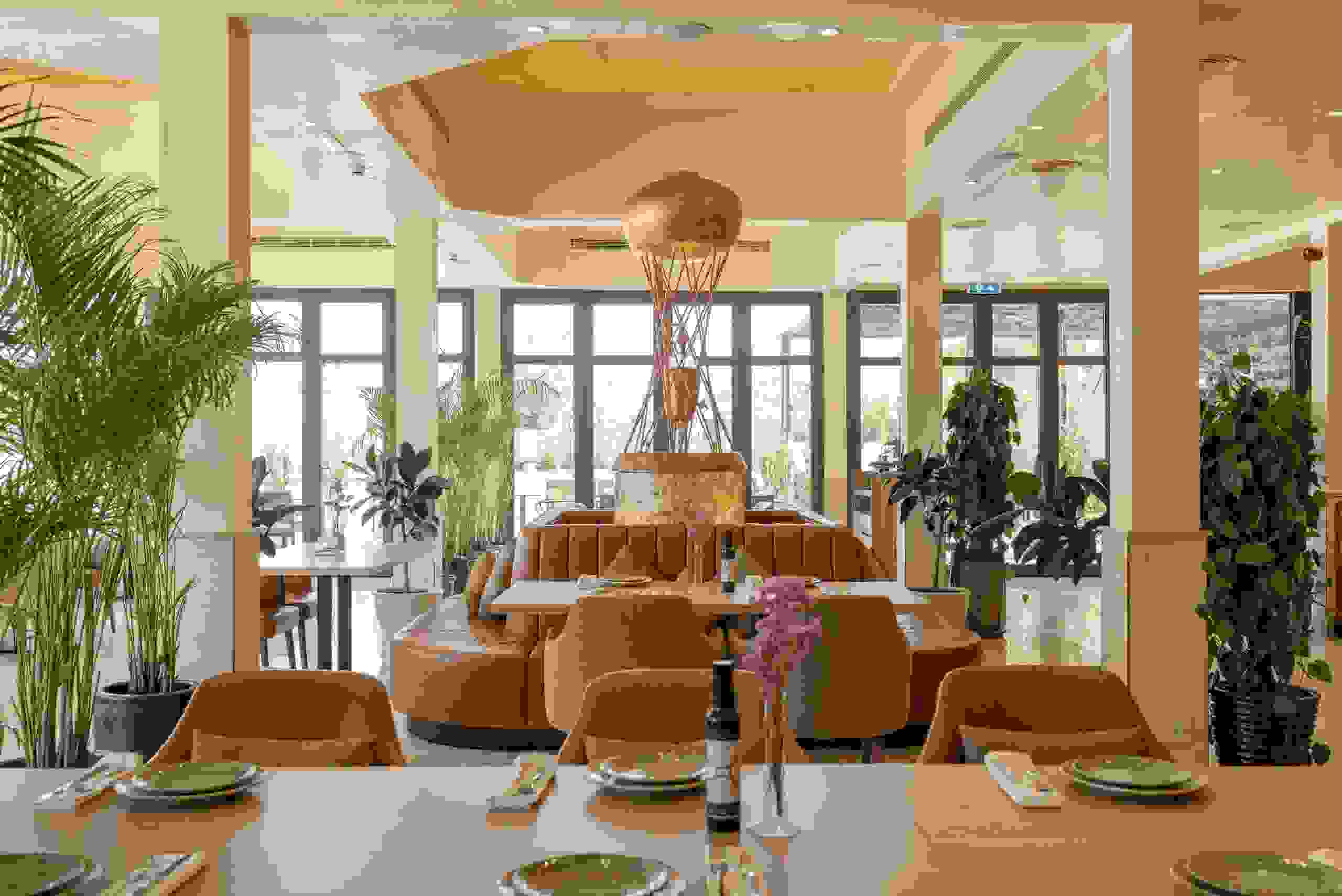 Dubai welcomes the city’s first probiotic dining destination-image