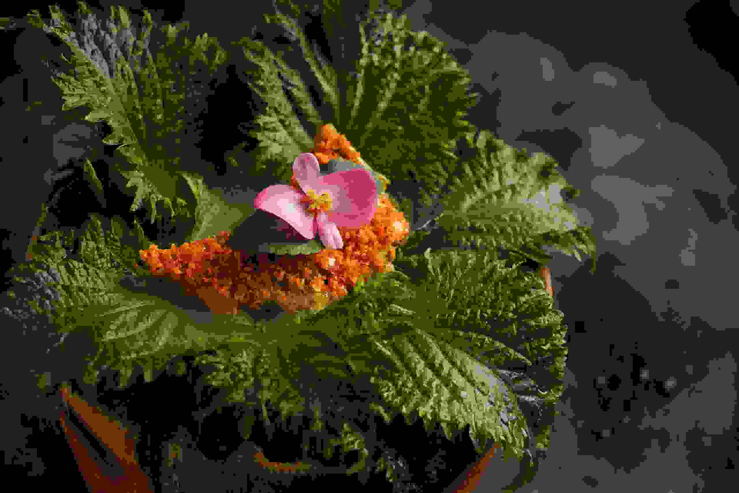 Dubai’s top tasting menus for a seriously special dinner-image