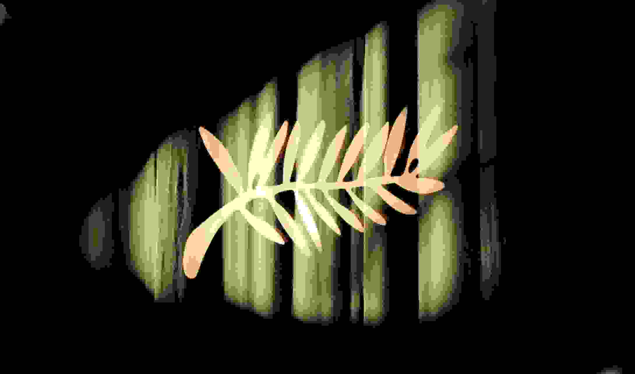 Regional Films Make a Strong Showing at Cannes Film Festival 2026-image