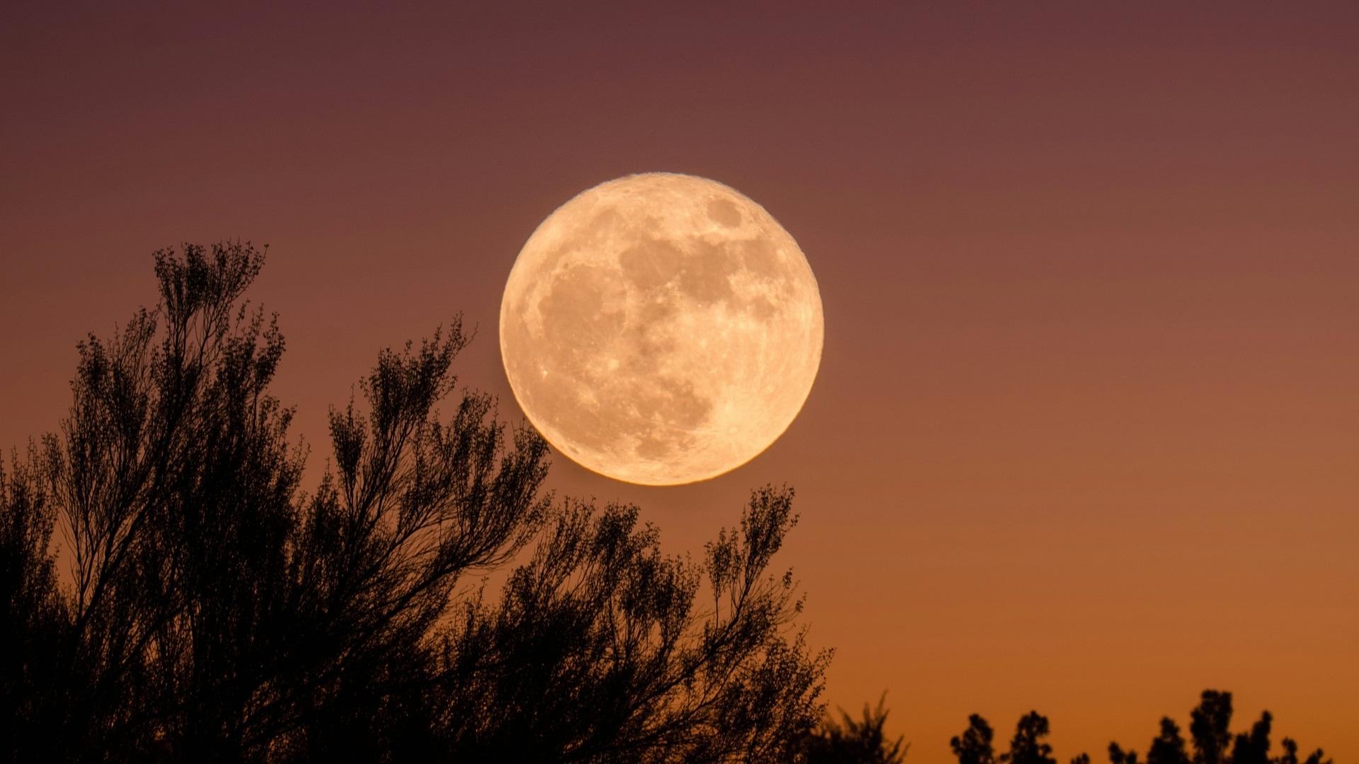 How to see the upcoming Flower Moon in the UAE