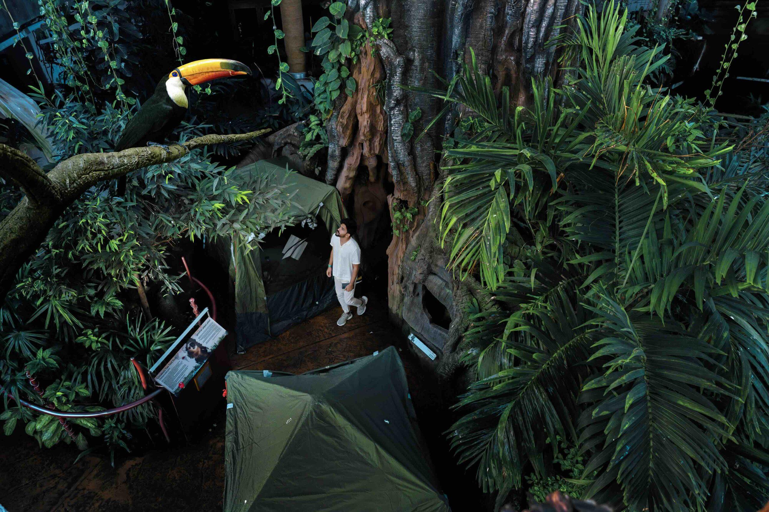 Rainforest camping is now a thing in Dubai