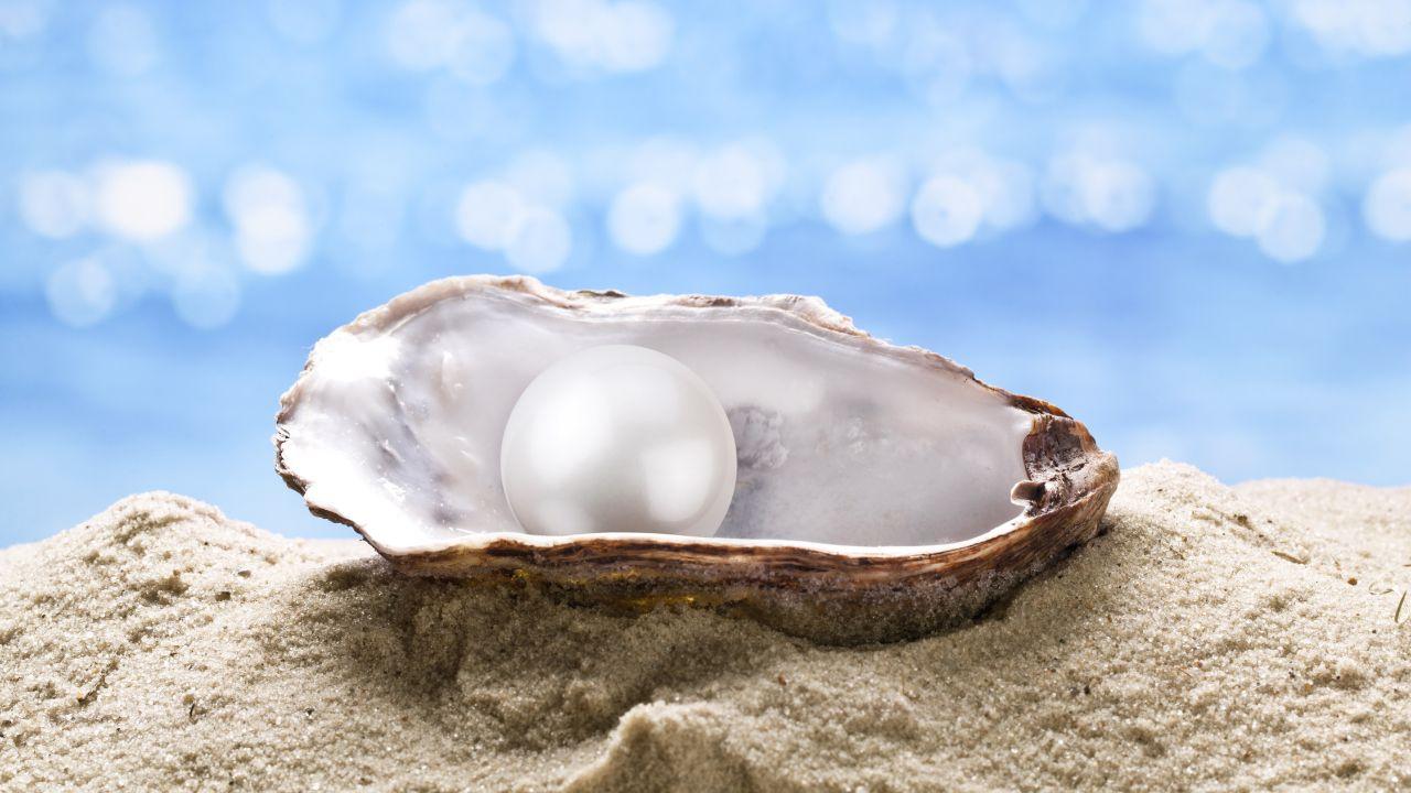Inaugural Abu Dhabi Pearling Festival kicks off in the capital