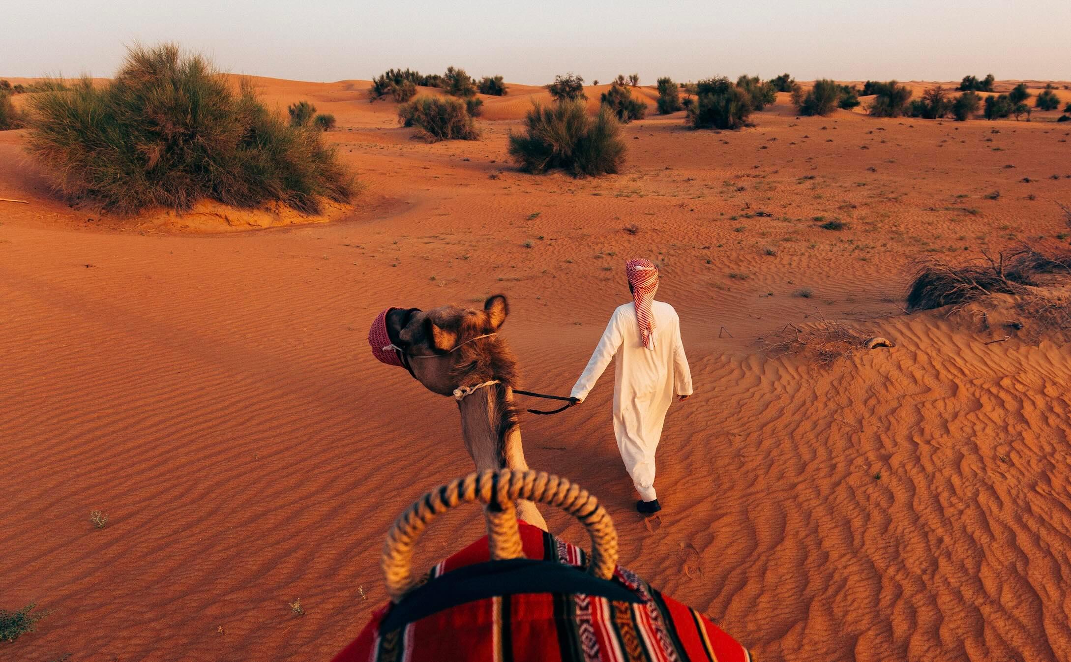 A curated daycation awaits at Al Maha, a Luxury Collection Desert Resort &#038; Spa