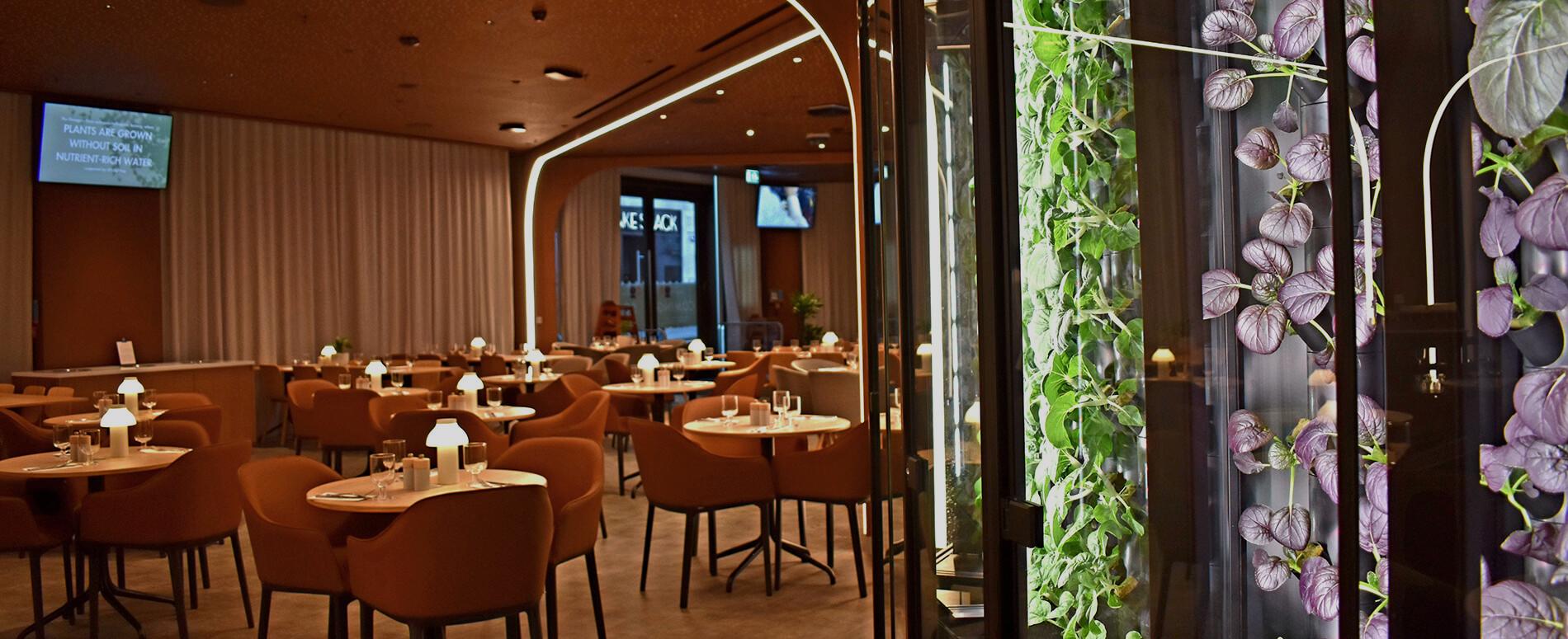 The Orangery hosts diners inside a hydroponic farm