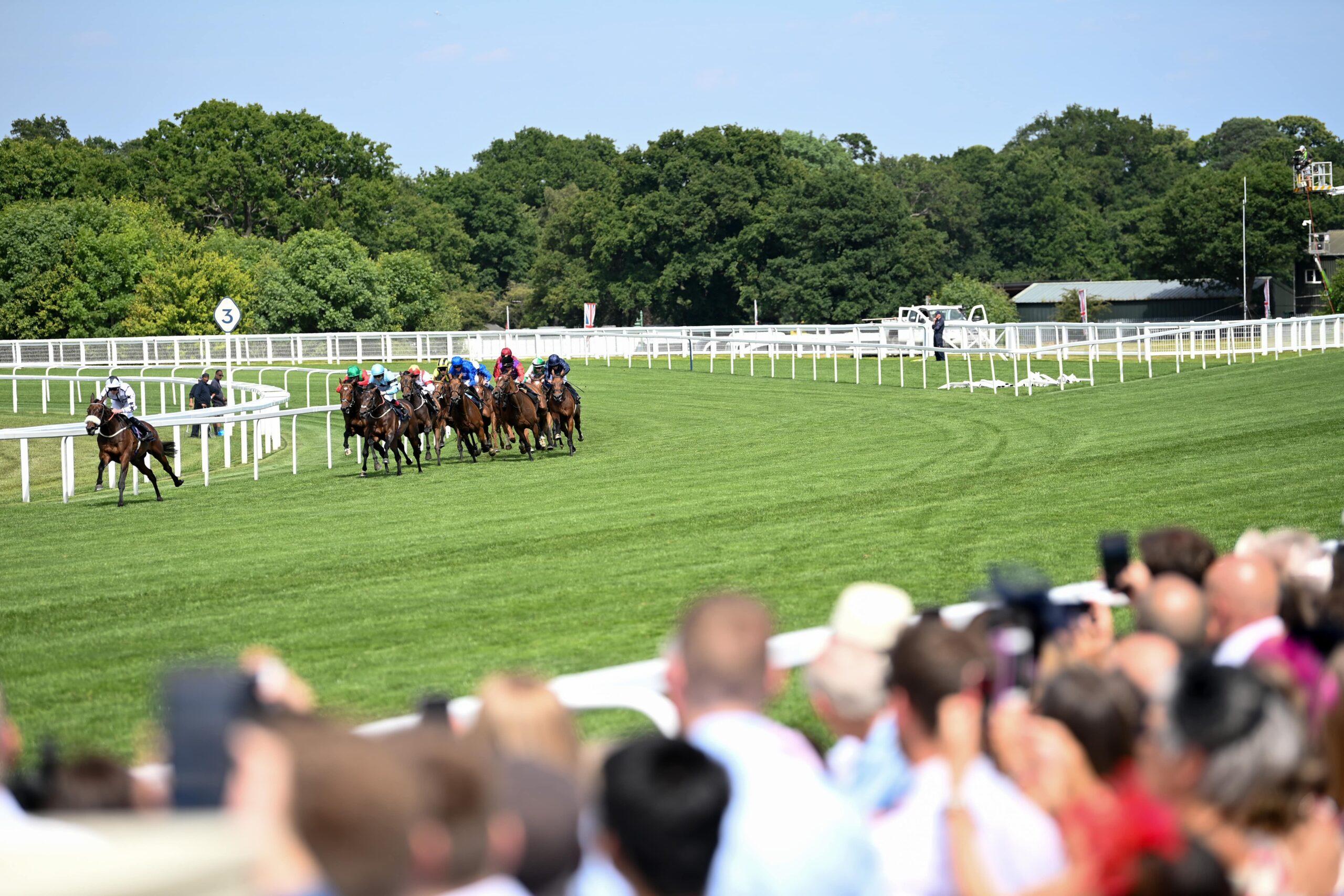A Glamorous Guide to Royal Ascot 2026: Highnesses, Horses and Hats