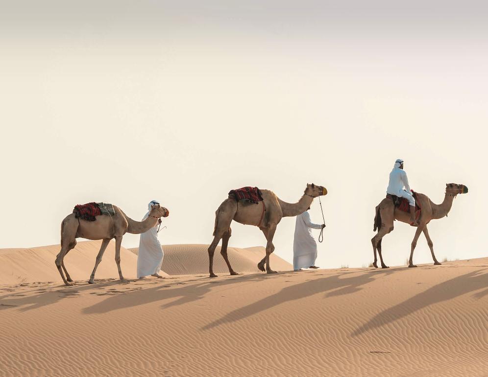 Misrah: A heritage trek launches in Abu Dhabi