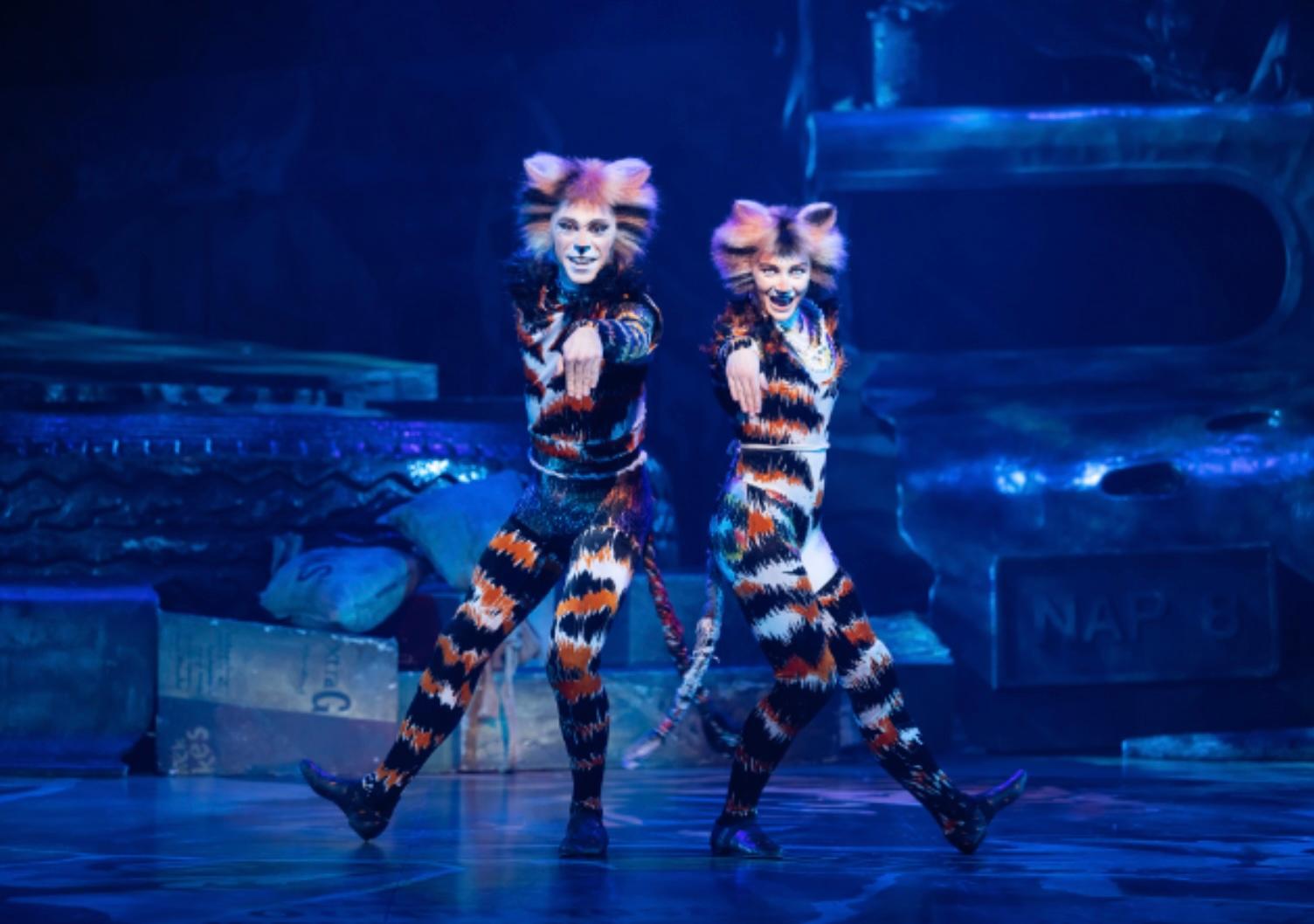 Cats The Musical will open in Abu Dhabi in spring 2026