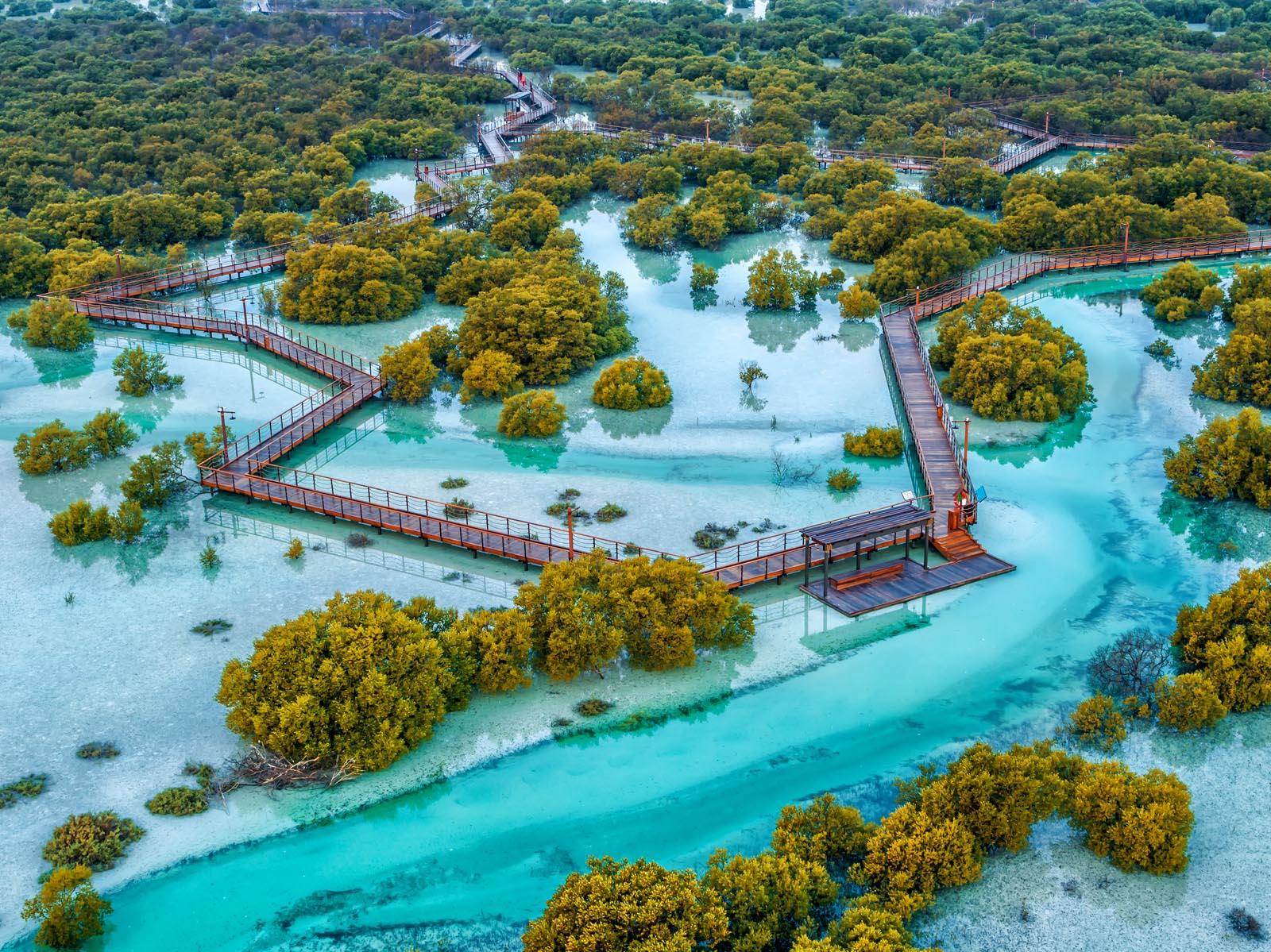42 Outdoor Activities in Abu Dhabi Worth Exploring This Winter