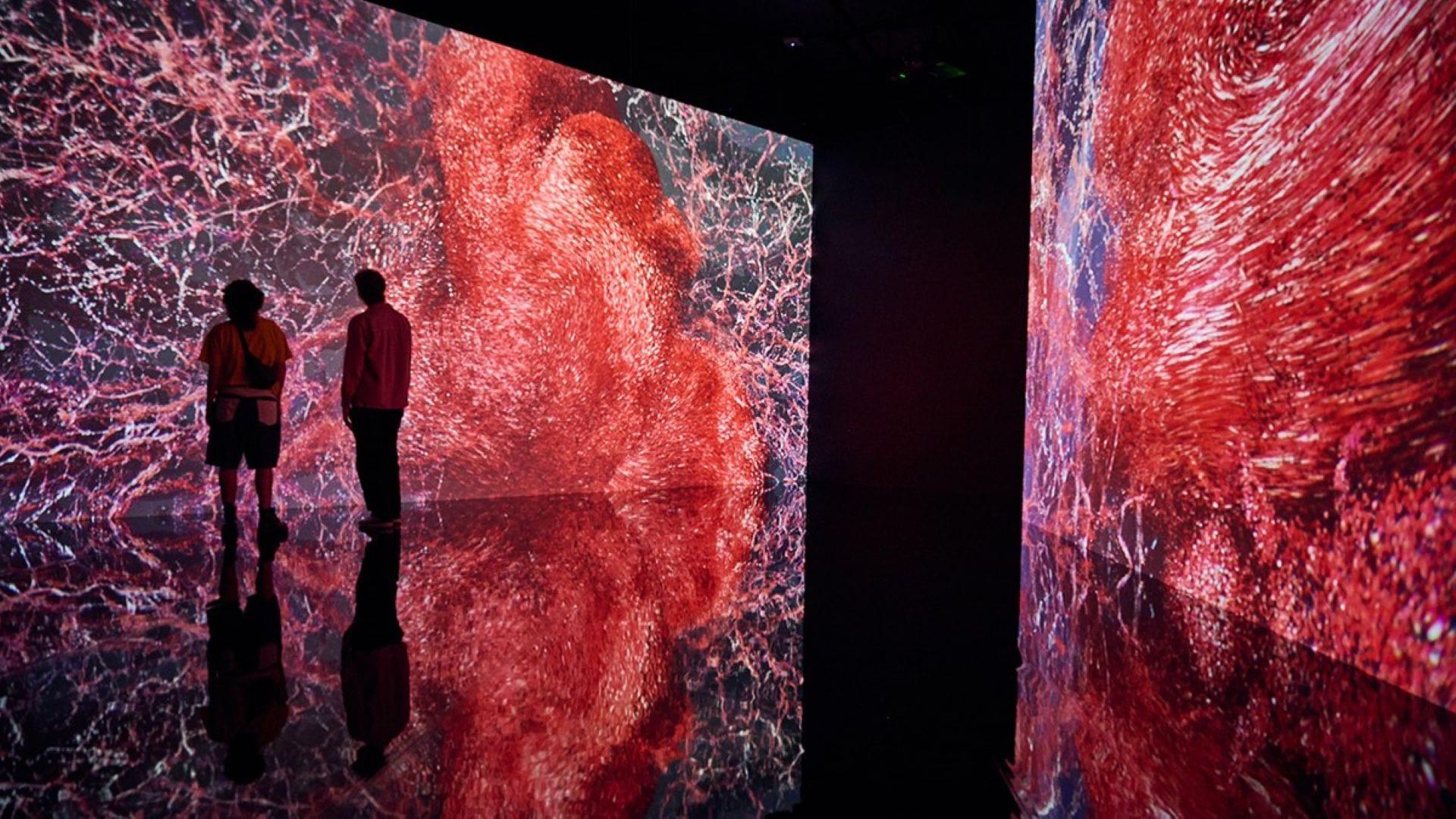 Step inside the human body at Singapore’s new Flesh and Bones exhibition