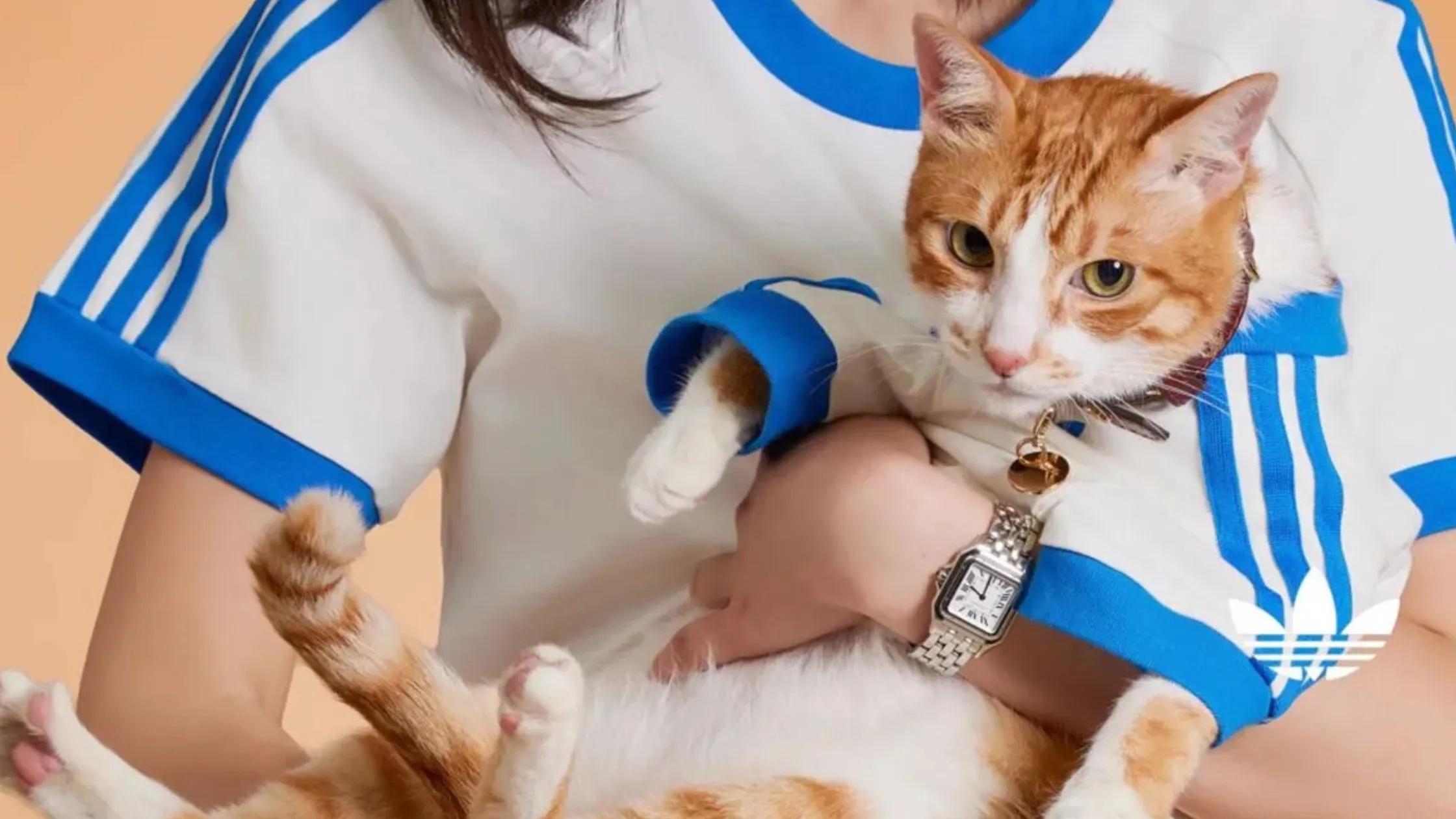 adidas is Launching its First Ever Pet Collection in Singapore