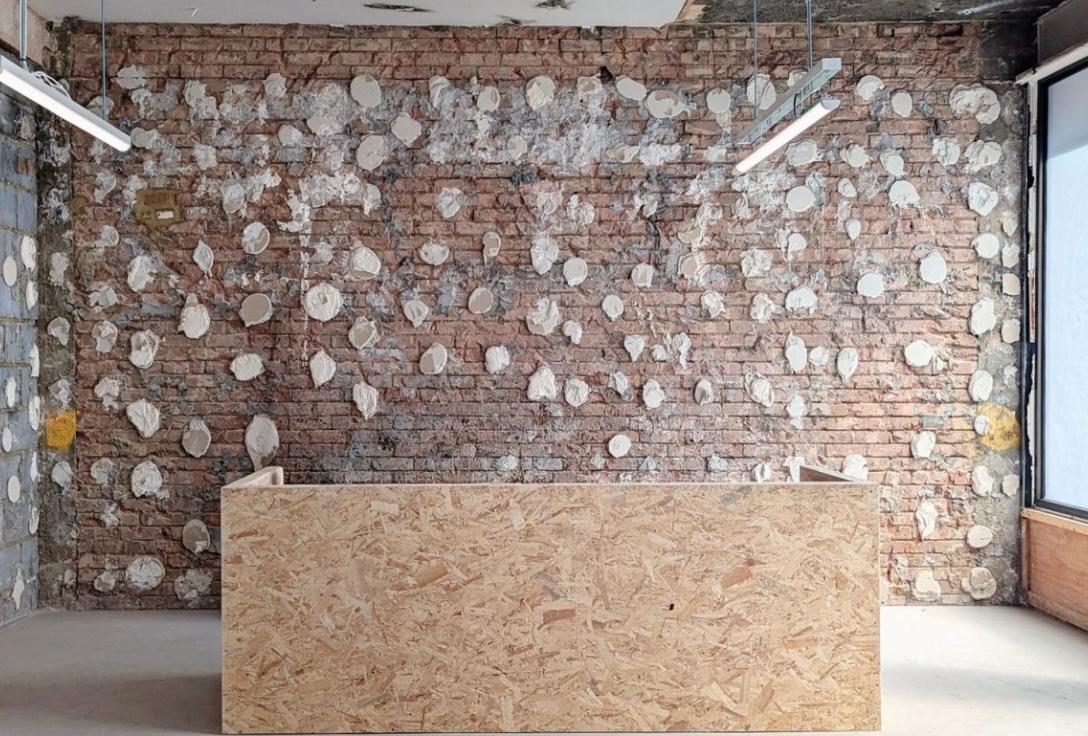 Hypha Studios: A New Gallery is Opening Soon on the South Bank  