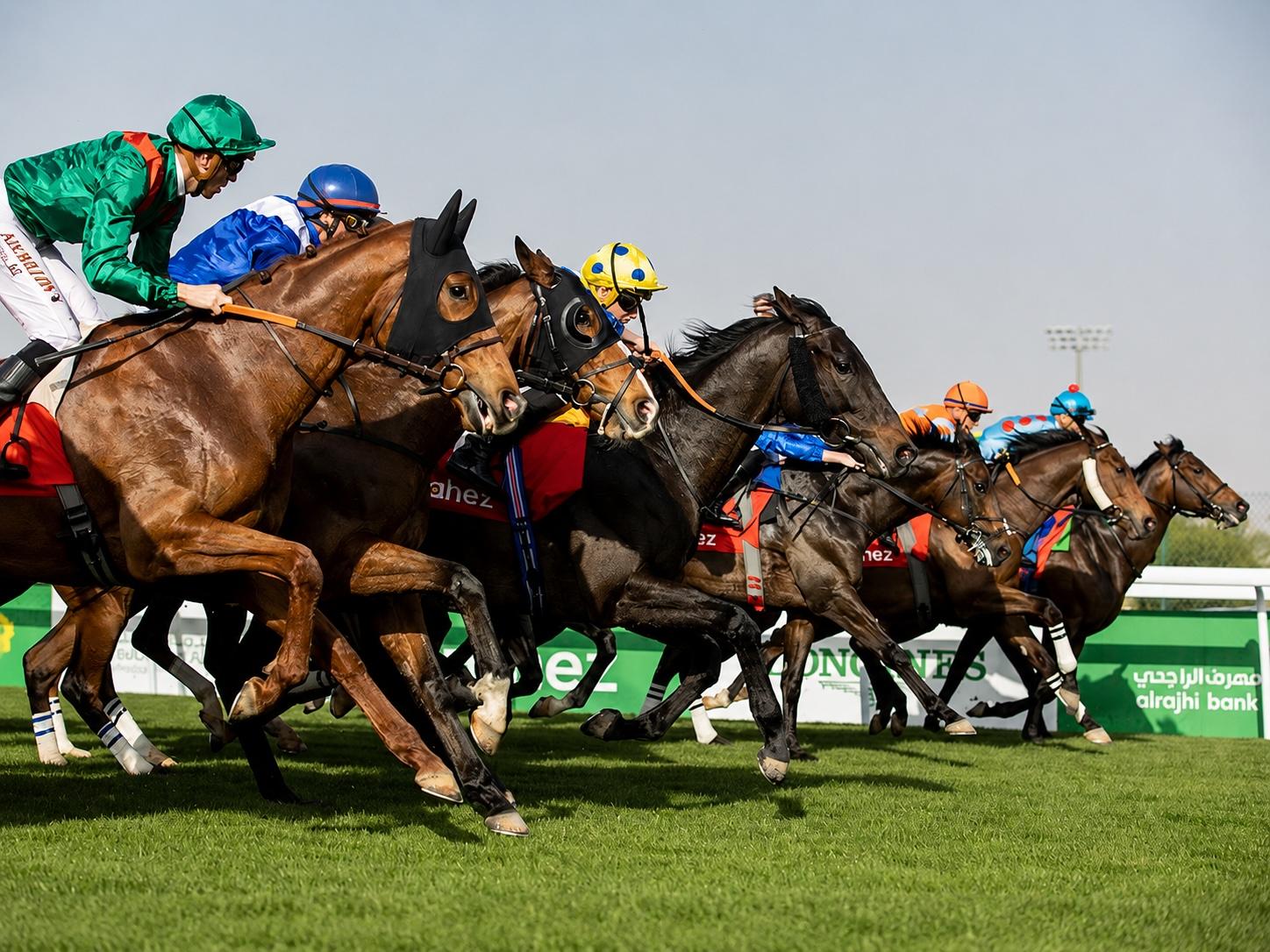 Saudi Cup 2027: Everything You Need to Know About the World’s Richest Race