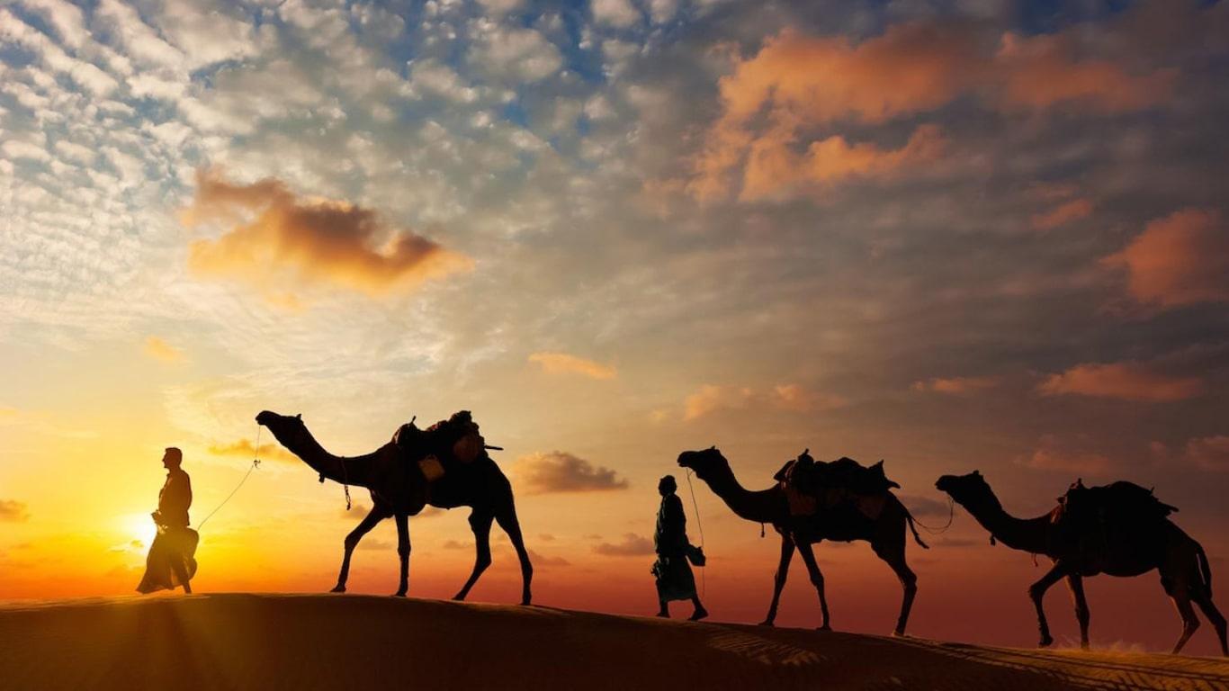 30 Fantastic Things To Do in Abu Dhabi in November 2026