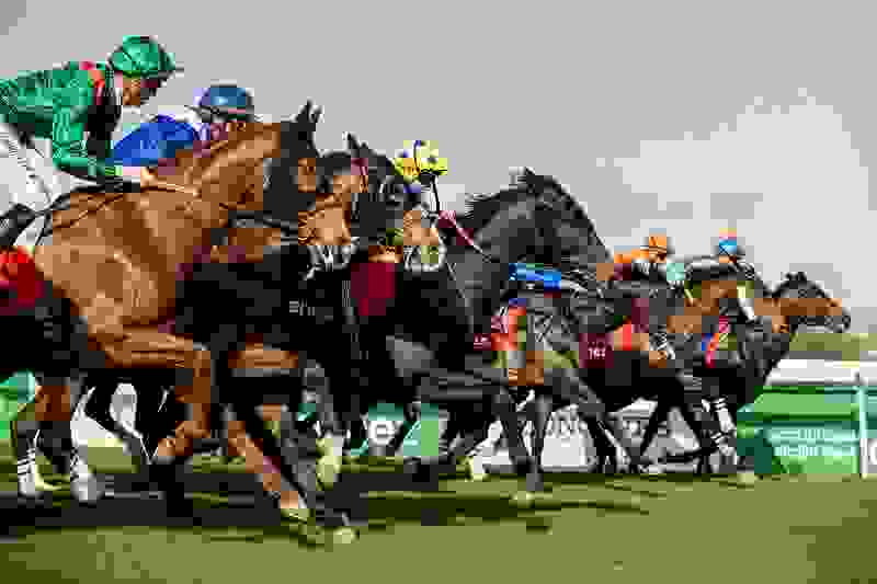 Everything you need to know about the Saudi Cup 2026-image