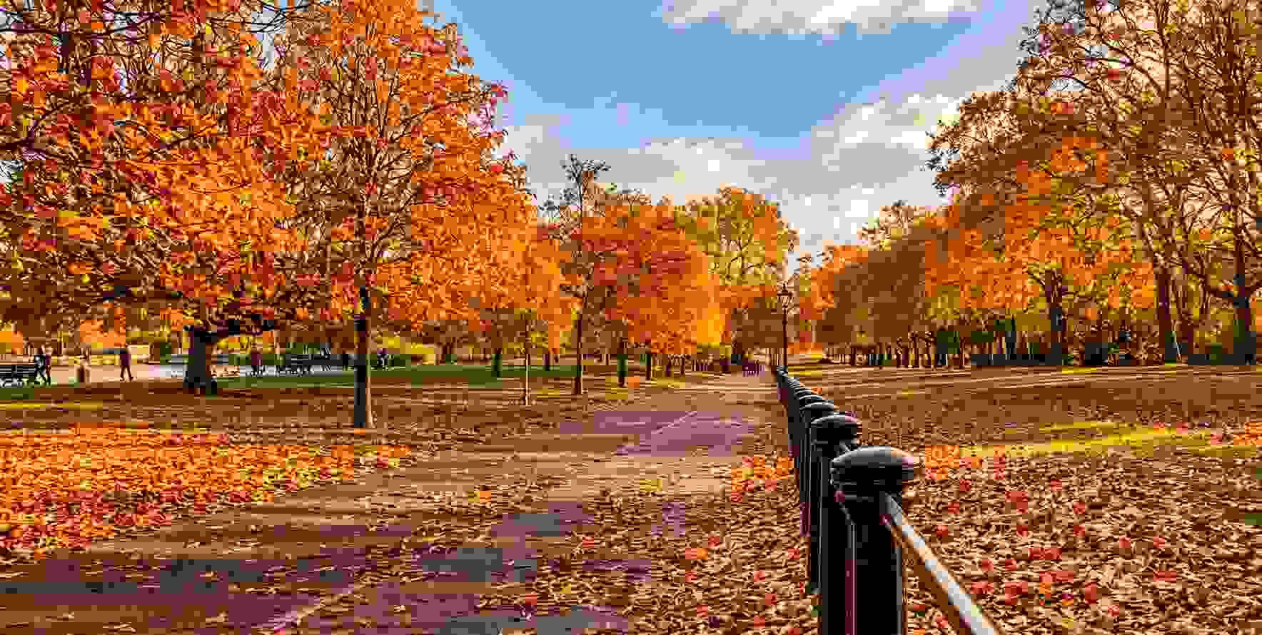 12 Unmissable Things To Do In London During Autumn 2026-image
