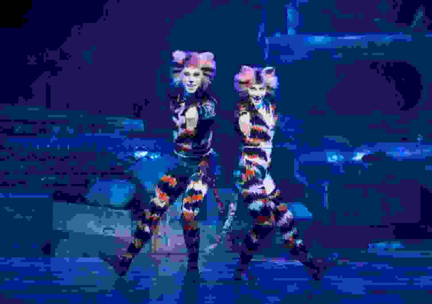 Cats The Musical will open in Abu Dhabi -image
