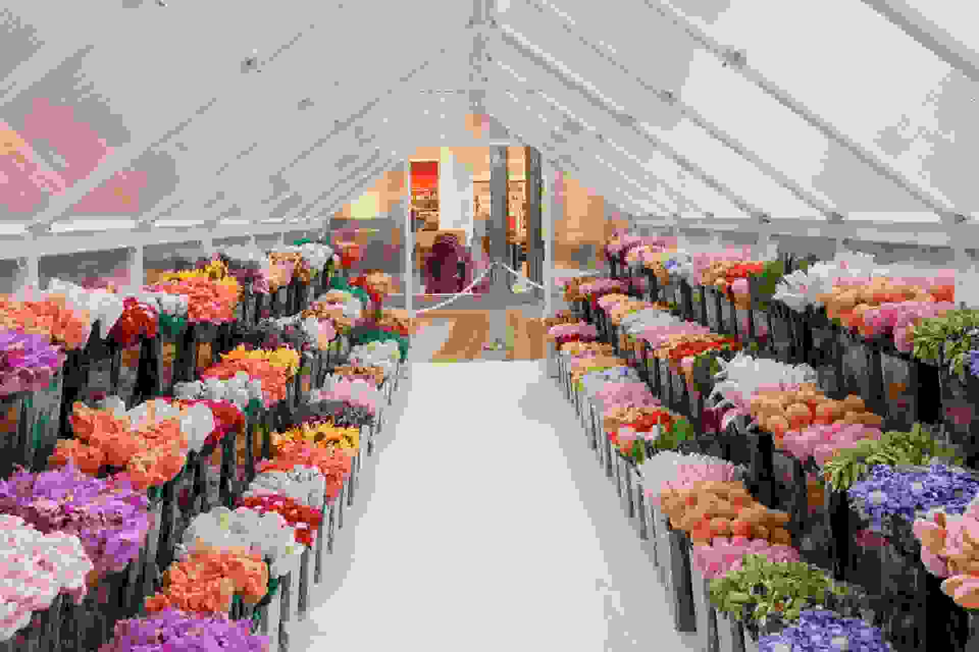 The CJ Hendry Viral Flower Market is Coming to Singapore with Free Plush Flowers-image